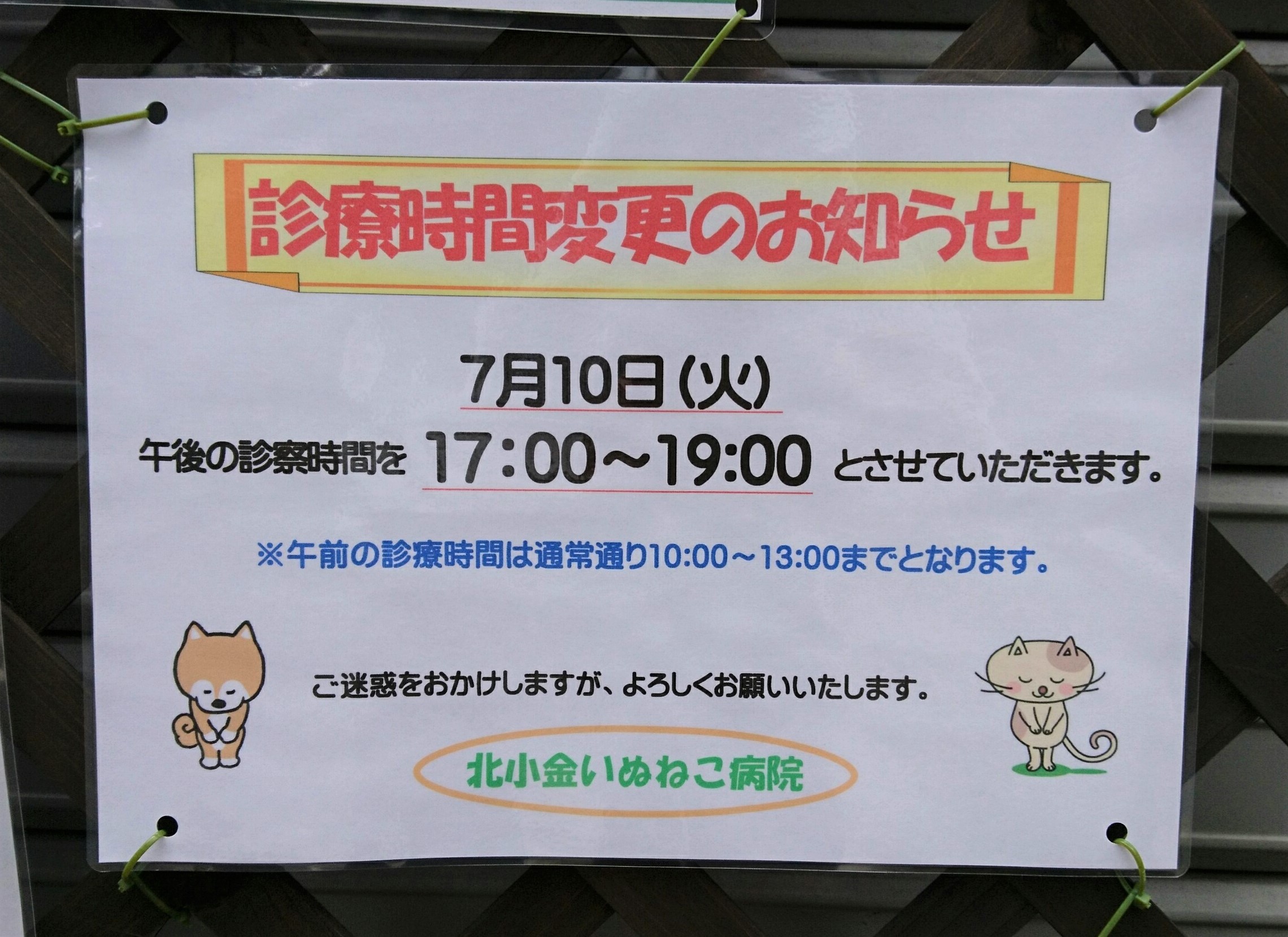 ７月１０日午後は、１７時からの診察になります